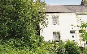 Tacker Street Cottage